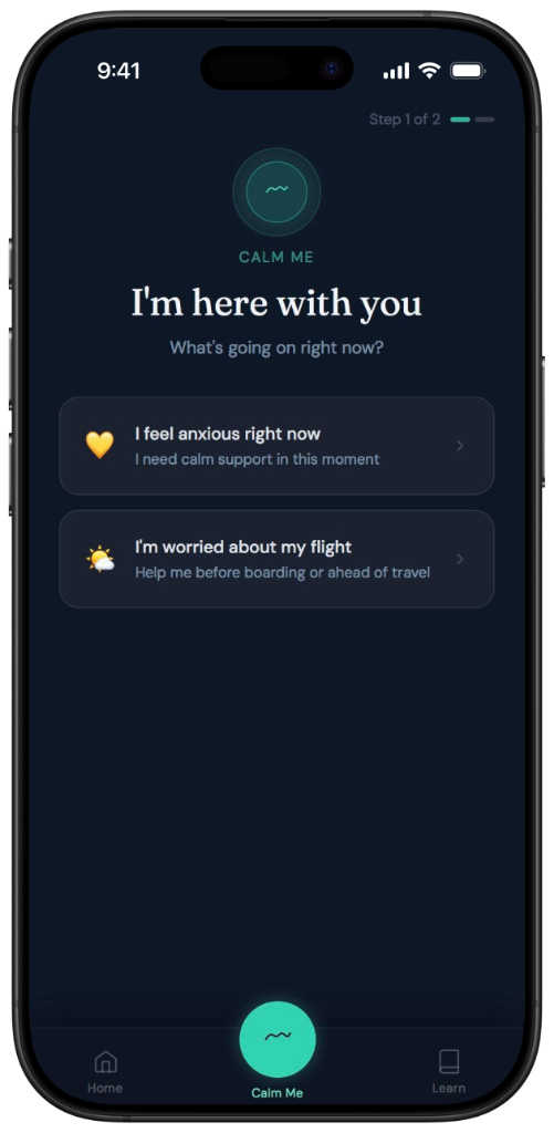 SteadyAir App Preview - Grounding Exercises